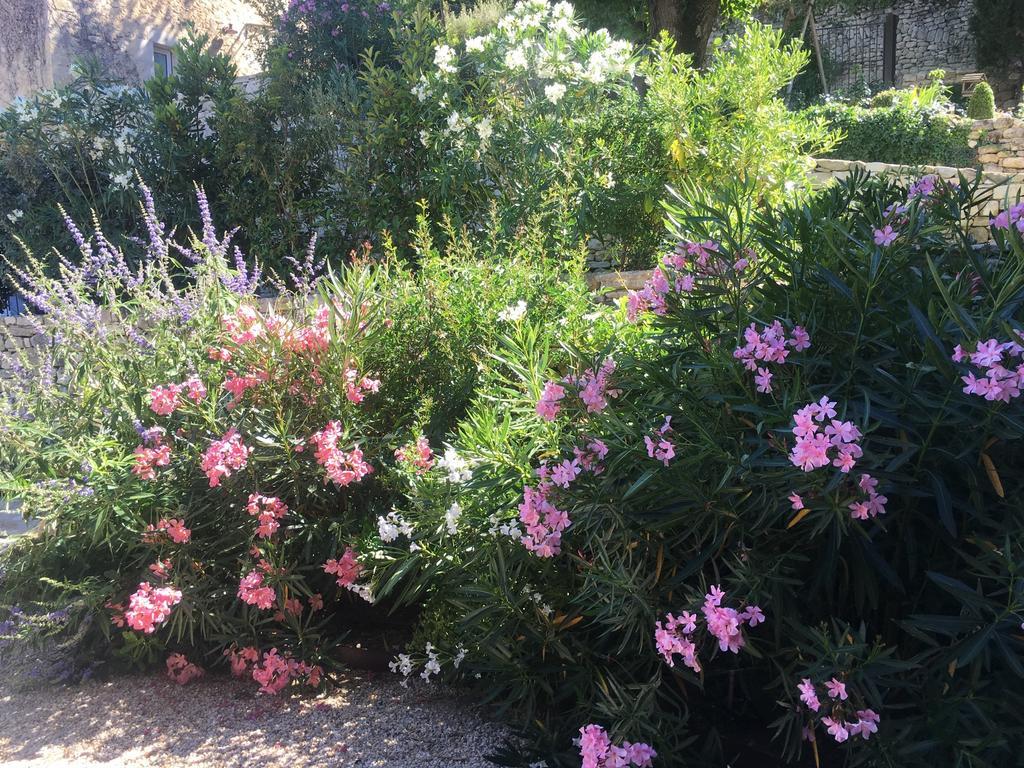 La Bastide Du Tinal Villa Menerbes Bagian luar foto
